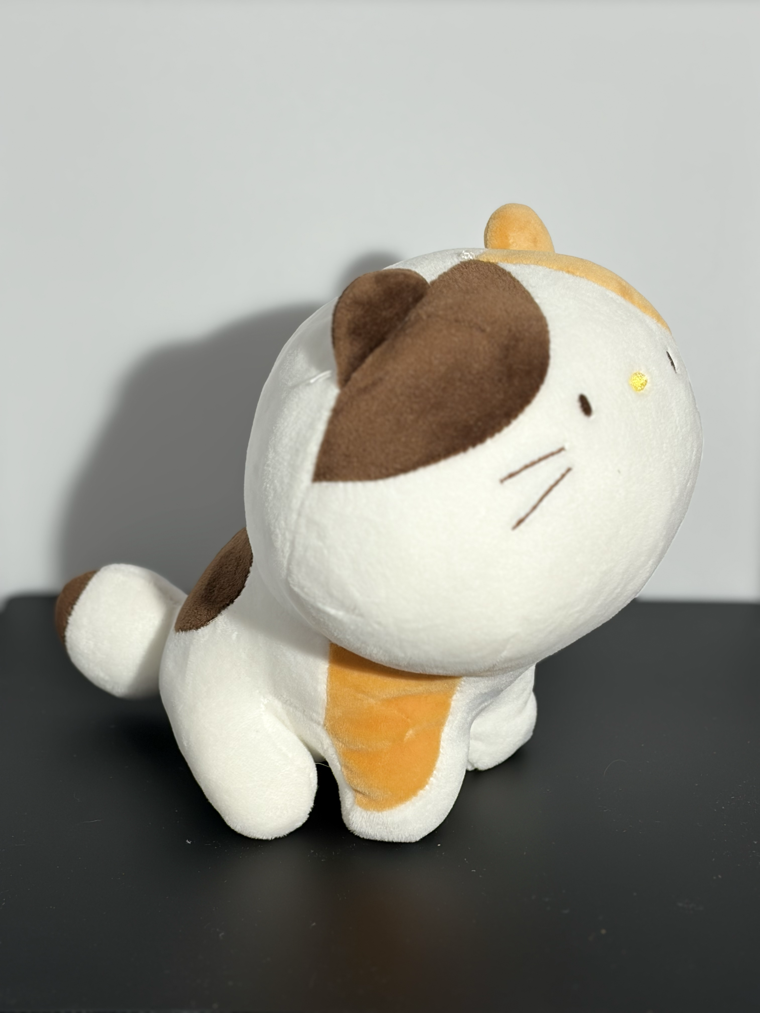 The side of a cat plushy
