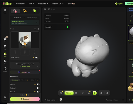I wanted to try out Meshy in order to generate a 3d model.