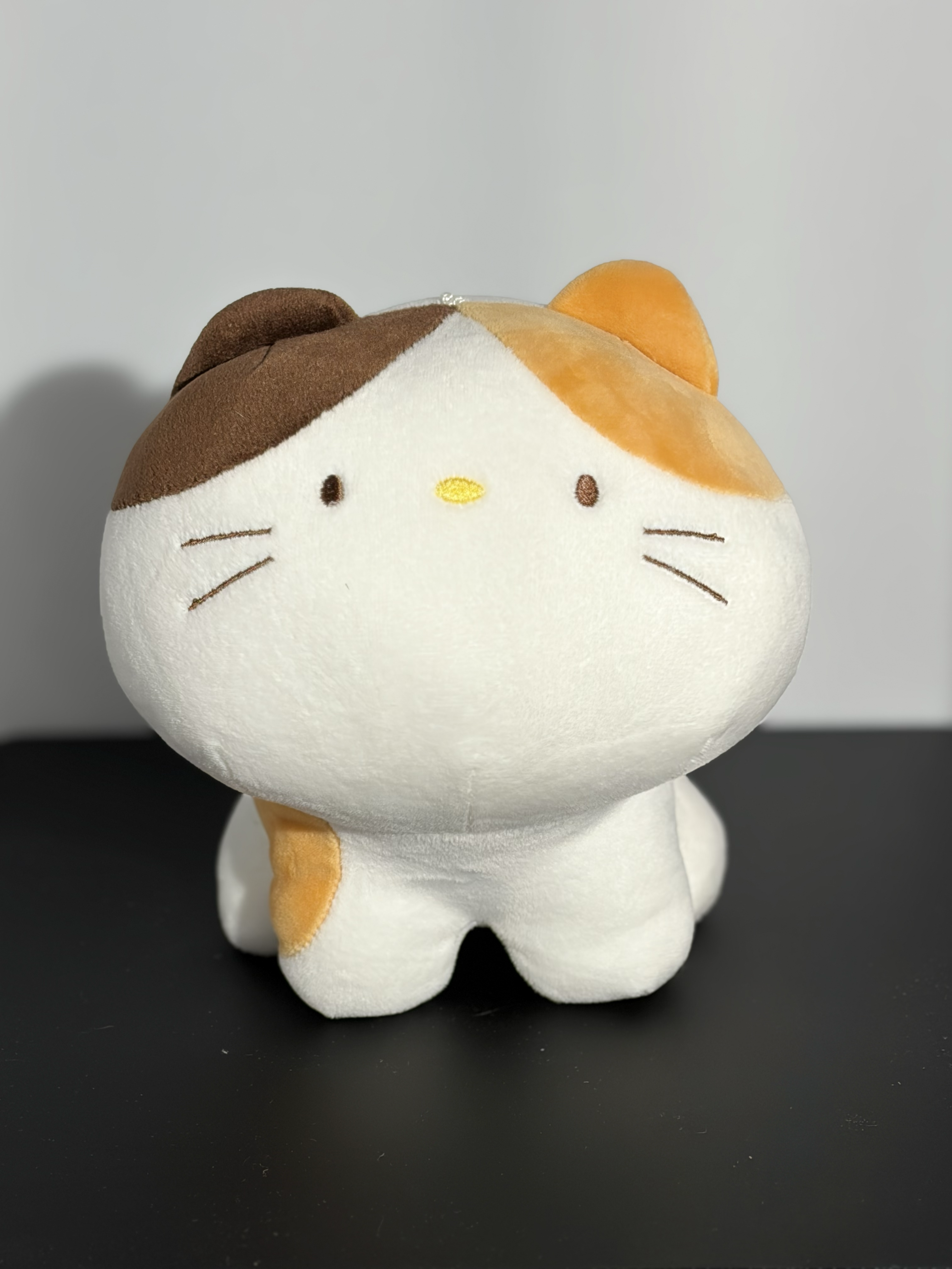 Front of a cat plushy. A runner up for a final complex object.