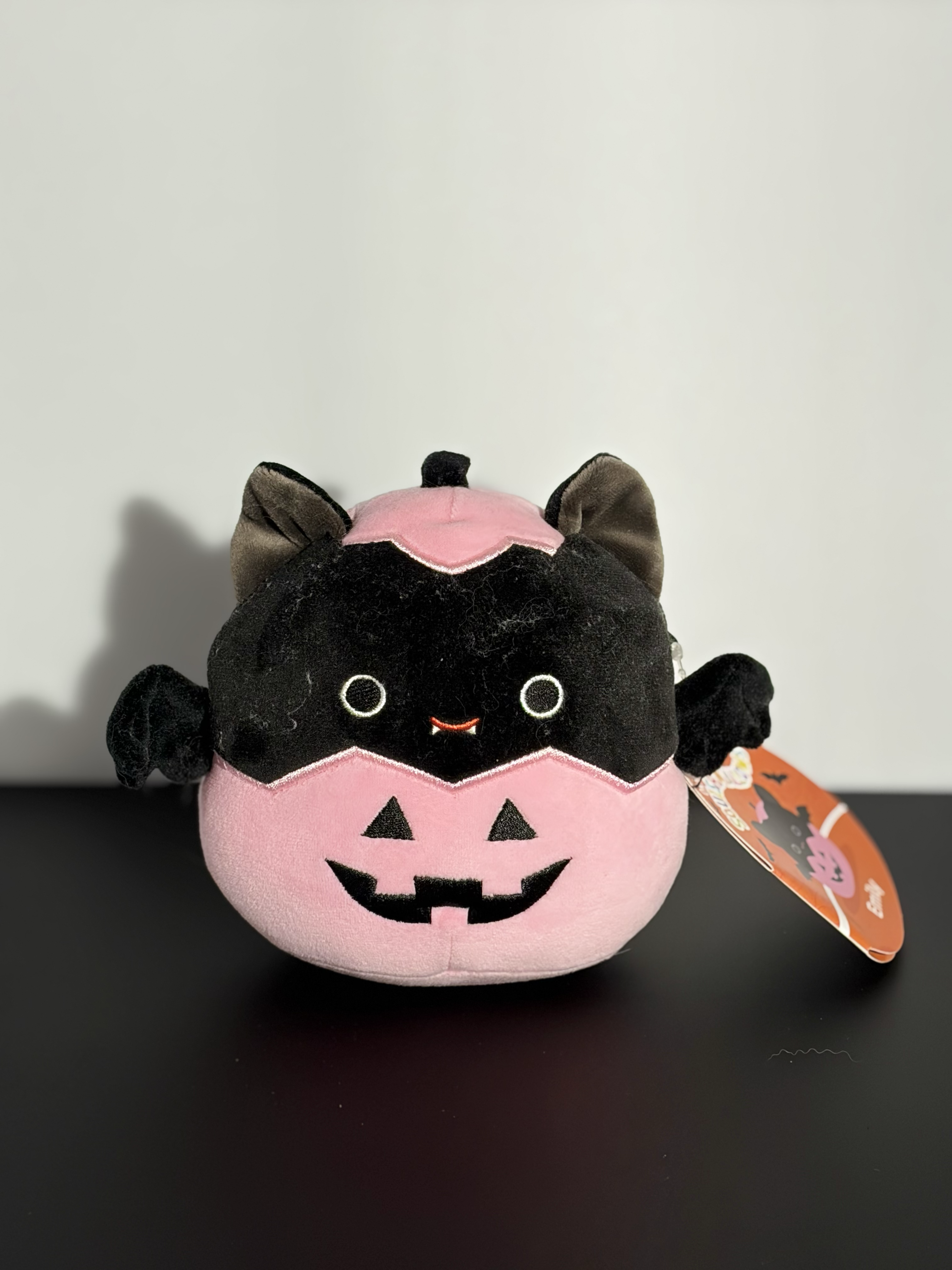 Front of a cat plushy. A runner up for a final complex object.