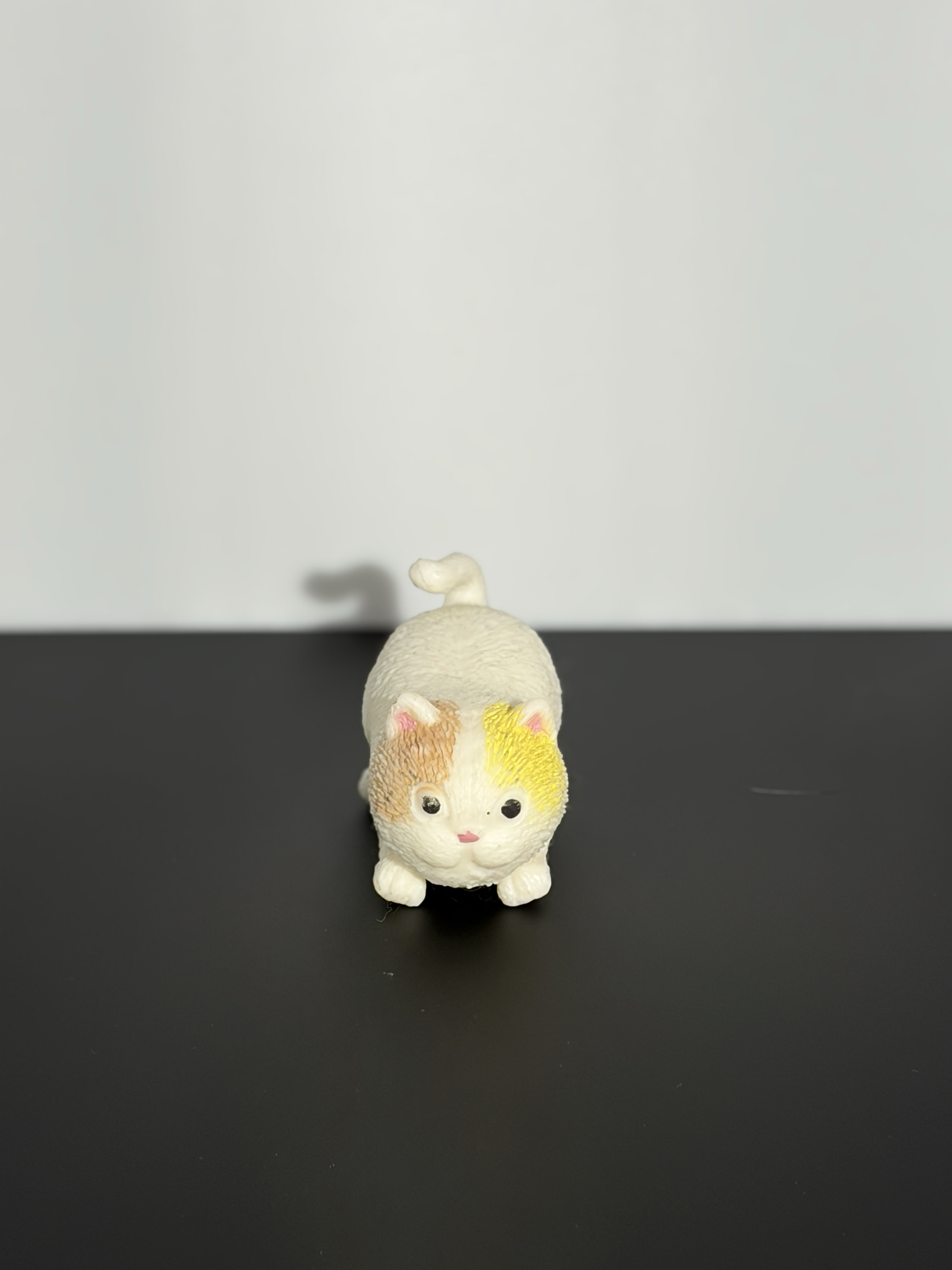 Front view of a fidget toy.